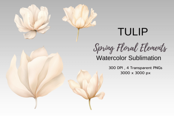 Download Tulip Spring Florals Sublimation Png - Png Collection