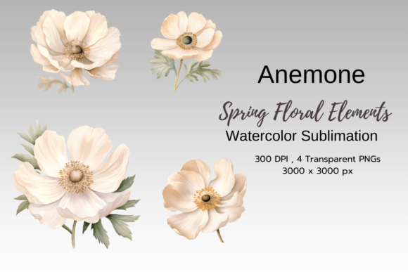 Download Anemone Spring Florals Clipart Png - Png Collection