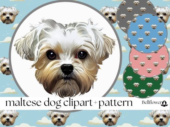 Download Maltese Dog Clipart and Seamless Pattern - Pattern Collection